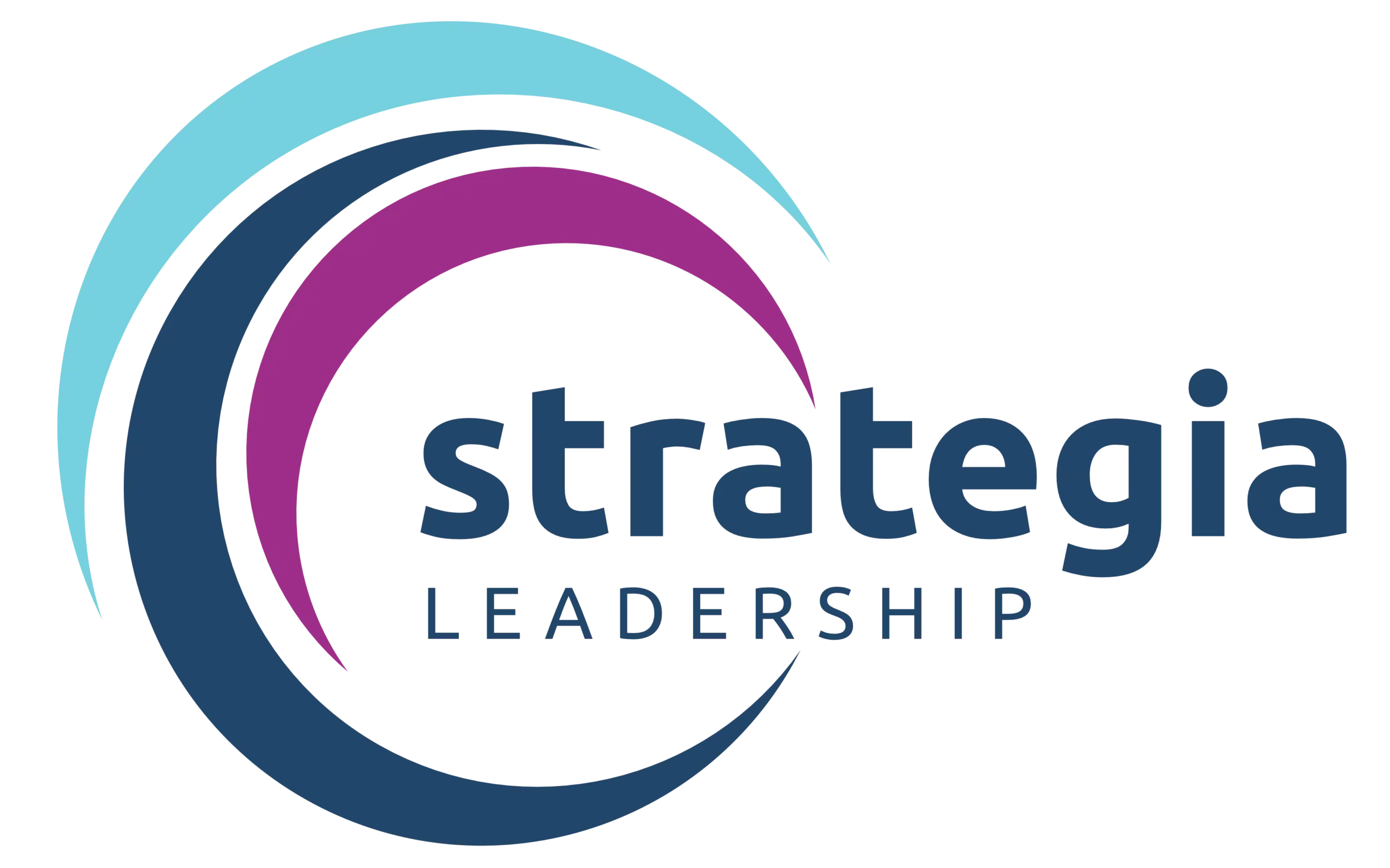 strategia-leadership.de